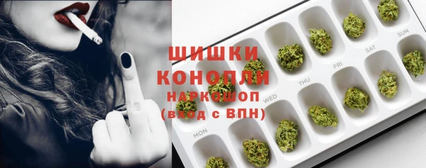 индика Медногорск
