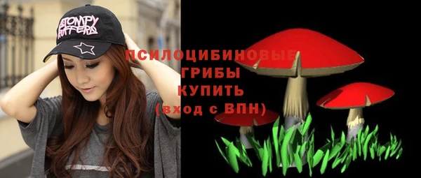 герыч Мегион