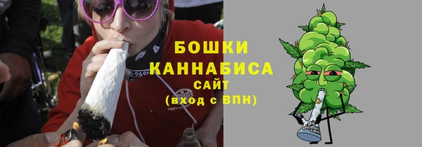 индика Медногорск