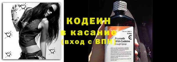 индика Медногорск