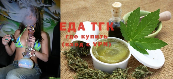 индика Медногорск