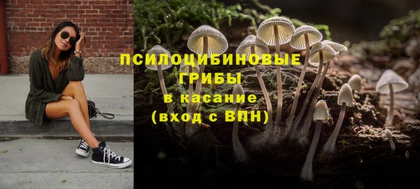 герыч Мегион