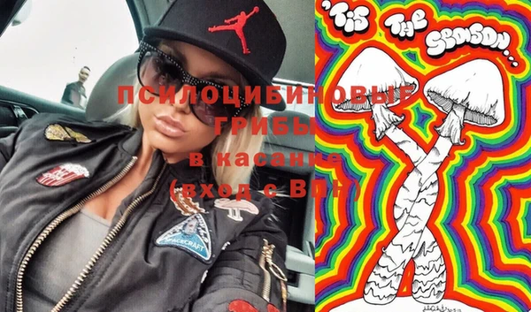 индика Медногорск