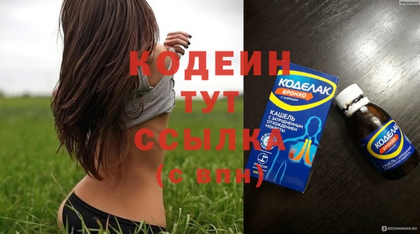 герыч Мегион