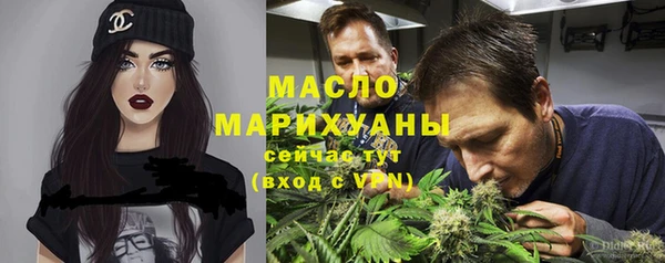 индика Медногорск