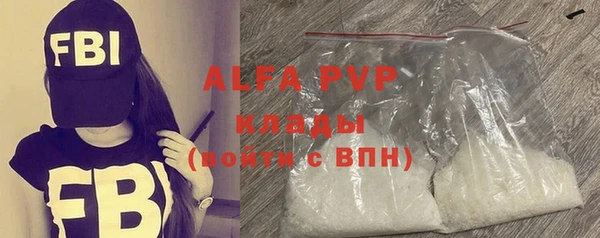 индика Медногорск