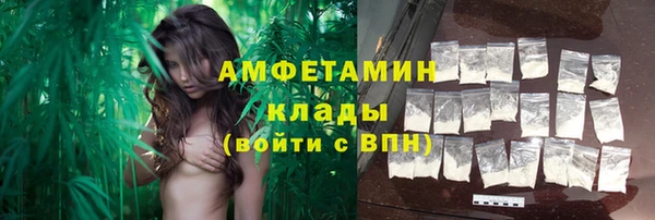 индика Медногорск