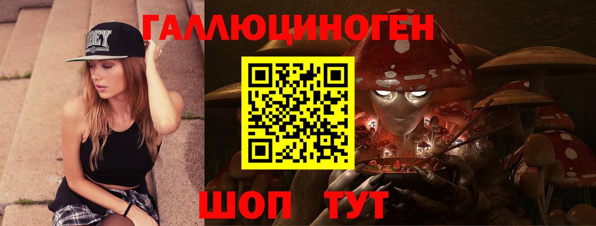 Псилоцибиновые грибы ЛСД  Вход с VPN  Хасавюрт  Галлюциногенные грибы GOLDEN TEACHER 