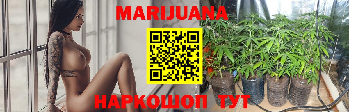 МАРИХУАНА конопля  Каннабис ГИДРОПОН  Хасавюрт  Вход с VPN  МАРИХУАНА семена 